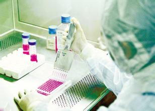 药物剂量与效应关系、药物作用机制研究等药效学研究的内容
