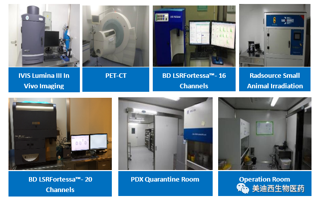 AG真人国际药理部拥有IVIS Lumina III, PET-CT, BD LSRFortessa-16, Flow Cytometry等仪器，提供符合申报，支持临床试验的药效评价服务。