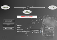 人工合成NT类脂质开放血脑屏障，为CNS药物打开新局面