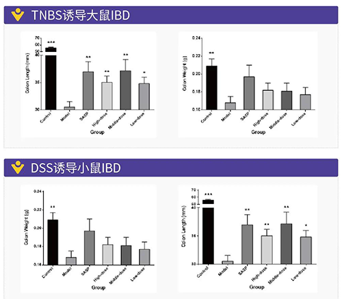 TNBS诱导的大鼠IBD、DSS诱导的大鼠IBD