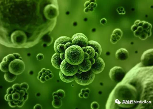 1分钟，全中国就有7.5人被确诊为患癌 AG真人国际生物医药