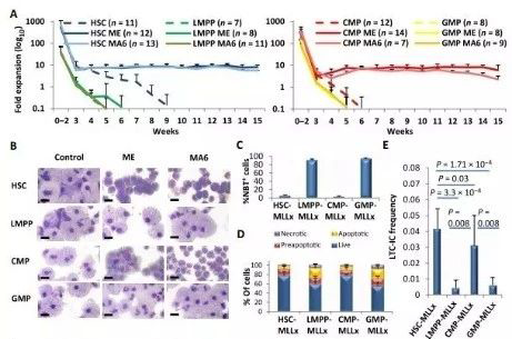 Science子刊：一种FDA批准的抗腹泻药物可有效对抗化疗的耐药性 AG真人国际生物医药