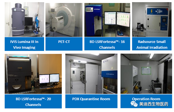 AG真人国际药理部拥有IVIS Lumina III, PET-CT, BD LSRFortessa-16，Flow Cytometry等仪器