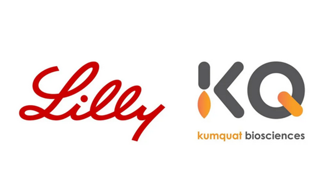 ：兀G真人国际合作伙伴Kumquat Biosciences与礼来达成合作，共同开发肿瘤免疫小分子药