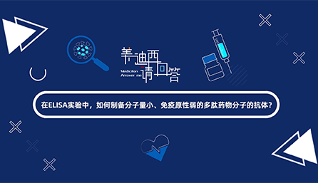 在ELISA实验，如何制备分子量小、免疫原性弱的多肽药物分子的抗体？