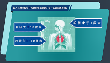 吸入药物的粒径分布为何如此重要？在什么区间才理想？
