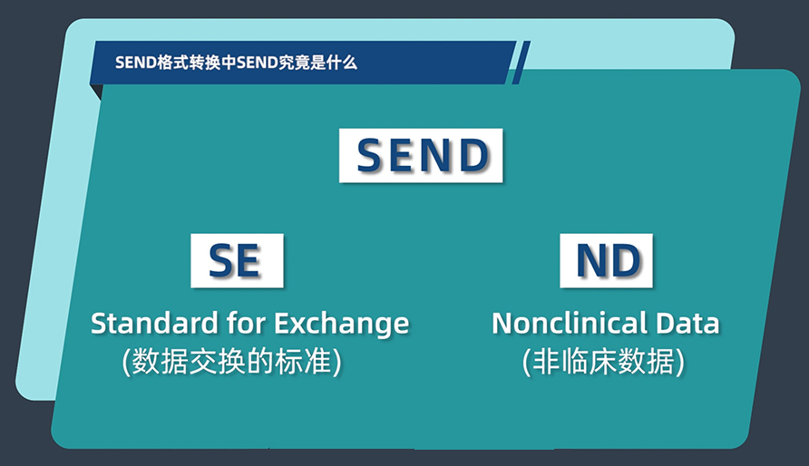 SEND格式转换中的SEND究竟是什么？