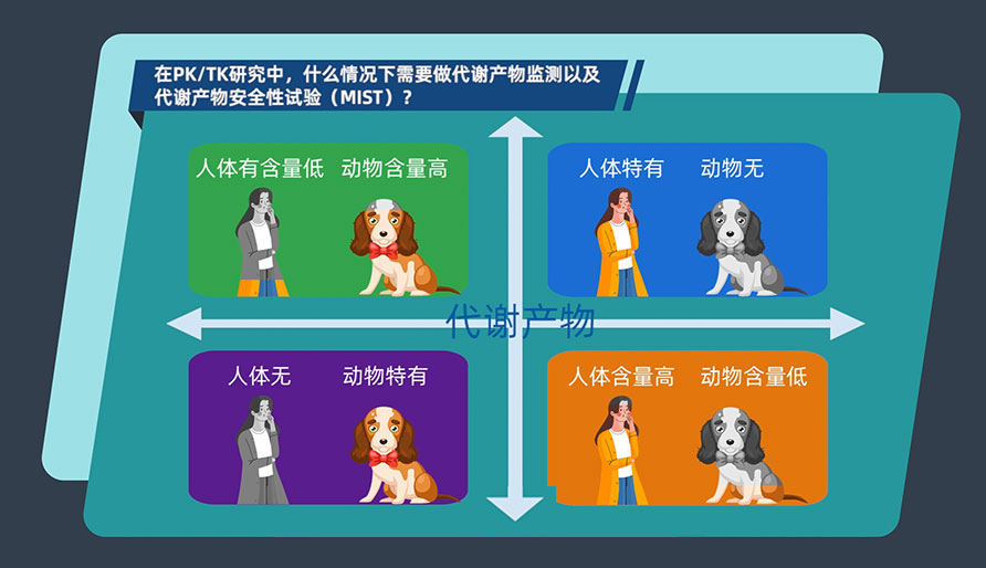 在PK-TK研究中，什么情况下需要做代谢产物监测以及代谢产物安全性试验（MIST）