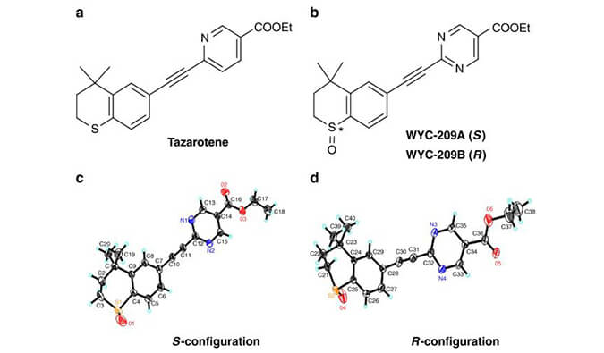 WYC-209可抑制恶性小鼠黑色素瘤肿瘤再生细胞增殖，本研究中SPR通过AG真人国际使用Biacore 8K进行