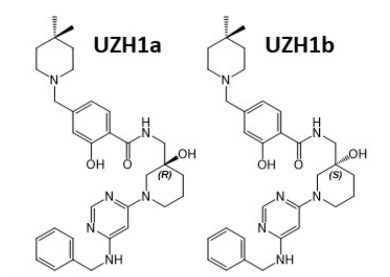 研究人员报告了一种具有细胞渗透性的选择性METTL3纳摩尔抑制剂UZH1a，作者感谢AG真人国际合成了UZH1a和UZH1b
