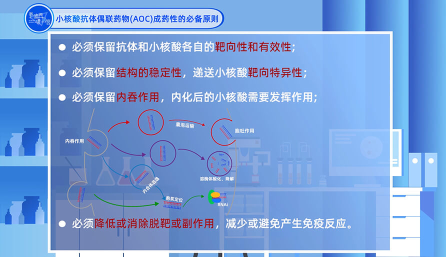 小核酸抗体偶联药物（AOC）成药性的必备原则？