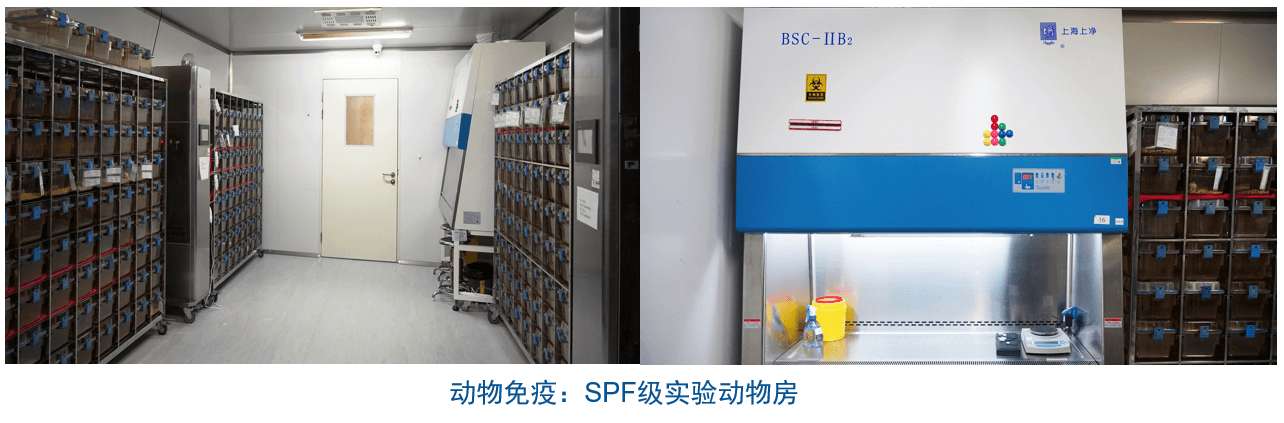 AG真人国际杂交瘤技术平台设备-动物免疫SPF级实验动物房