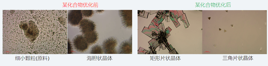 05案例分享-单晶培养，改变晶习.png