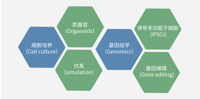 六大技术板块已上线，持续升级中.jpg