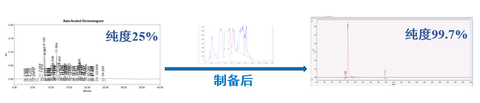案例一：仿制药发补：大极性杂质制备.jpg