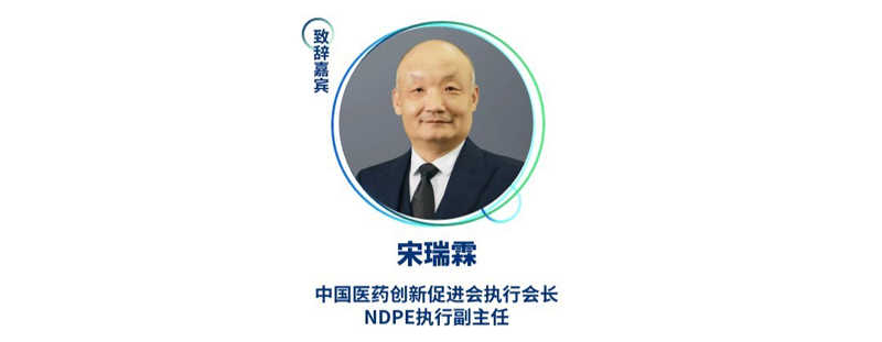 宋瑞霖--中国医药创新促进会执行会长、NDPE执行副主任.jpg