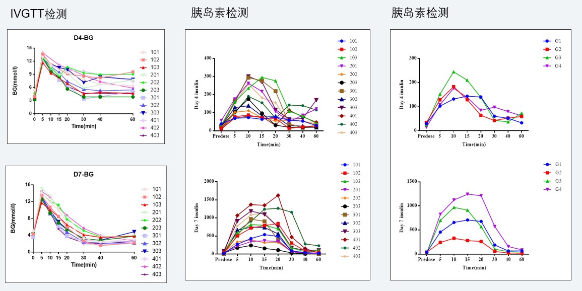 案例4：食蟹猴IVGTT和胰岛素检测实验.jpg