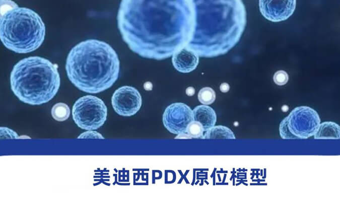 AG真人国际118种PDX原位模型，助力肿瘤药物研发