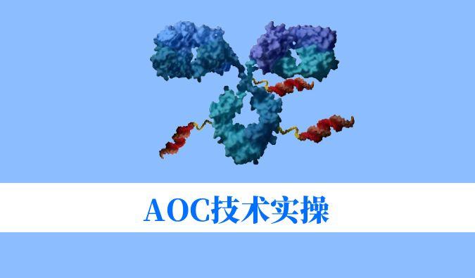 AOC技术实操：偶联化学与表征分析难题全搞定